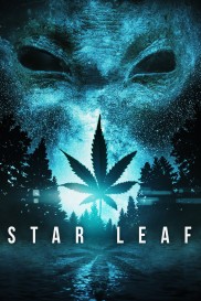 Star Leaf-full