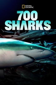 700 Sharks-full