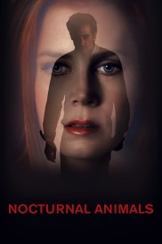 Nocturnal Animals-full