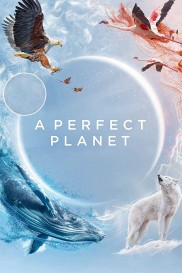 A Perfect Planet-full
