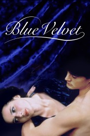 Blue Velvet-full