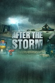 After the Storm-full