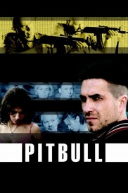 Pitbull-full