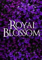 Royal Blossom-full