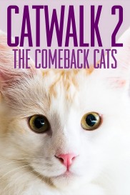 Catwalk 2: The Comeback Cats-full