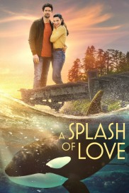 A Splash of Love-full
