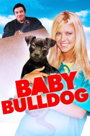 Baby Bulldog-full