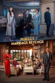 Perfect Marriage Revenge-full