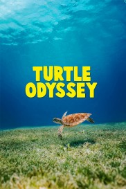 Turtle Odyssey-full