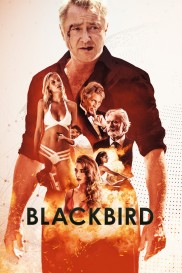 Blackbird-full