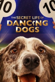 The Secret Life of Dancing Dogs-full