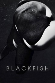 Blackfish-full