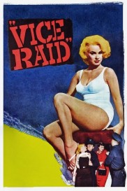 Vice Raid-full