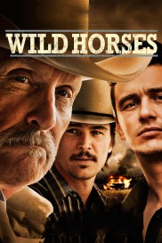 Wild Horses-full