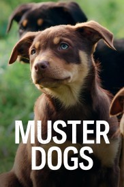 Muster Dogs-full