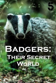 Badgers: Their Secret World-full
