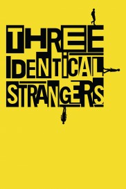 Three Identical Strangers-full