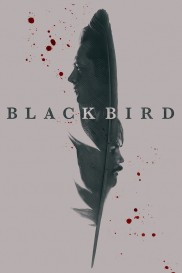 Black Bird Black Bird-full