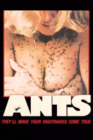 Ants-full