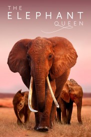 The Elephant Queen-full