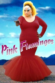 Pink Flamingos-full