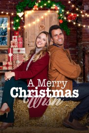 A Merry Christmas Wish-full