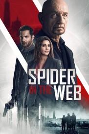 Spider in the Web-full
