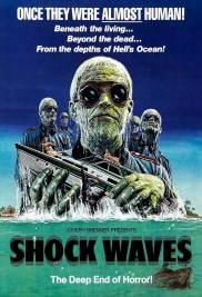 Shock Waves-full